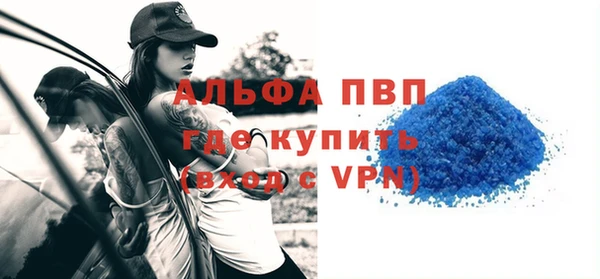 шишки Осташков