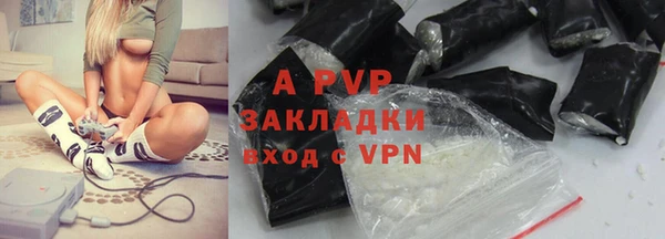 шишки Осташков