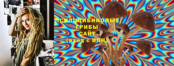 ALPHA PVP Осинники
