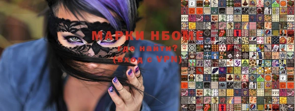 шишки Осташков