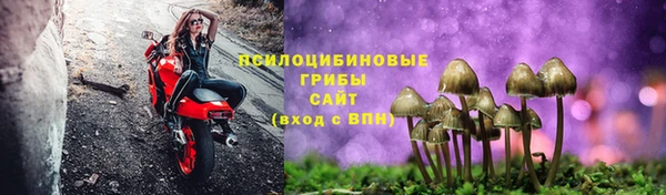 стаф Нижневартовск