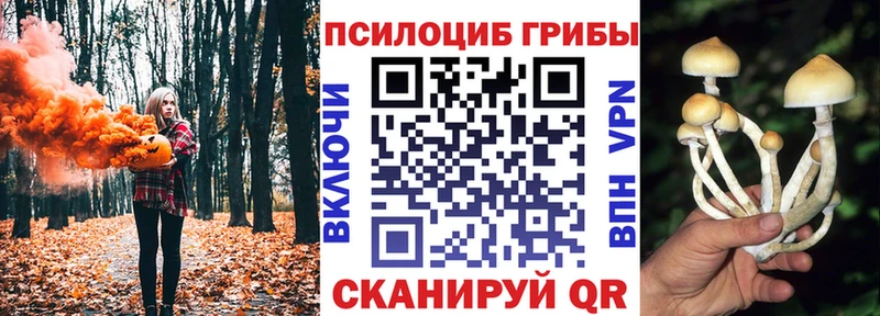 Купить закладки  Ковылкино  Галлюциногенные грибы Psilocybine cubensis 